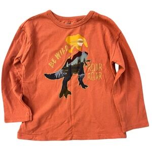 Dinosaur Graphic Kids Shirt | 4t